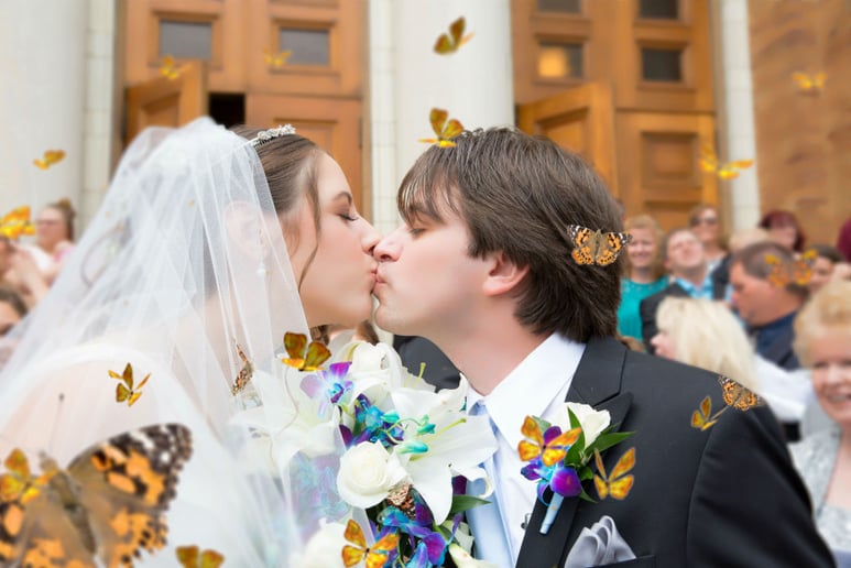 Gallery photo 6 of Terry James Photography