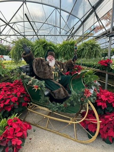 Gallery photo 17 of "Texarkana Santa"