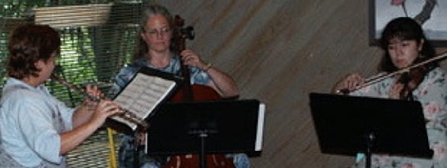 Gallery photo 8 of Texas Chamber Symphony