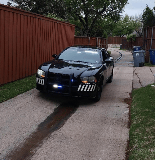 Gallery photo 1 of Tri-County Patrol