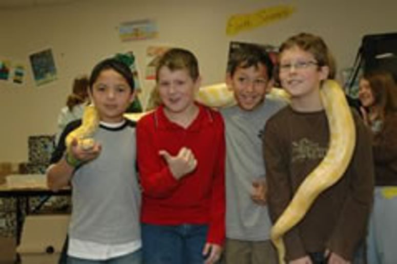 Gallery photo 1 of Texas Snakes & More