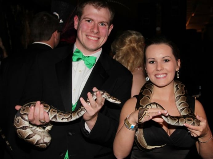 Gallery photo 2 of Texas Snakes & More