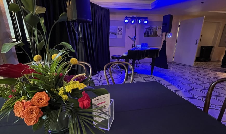 Gallery photo 3 of That Piano Entertainment Dueling Pianos