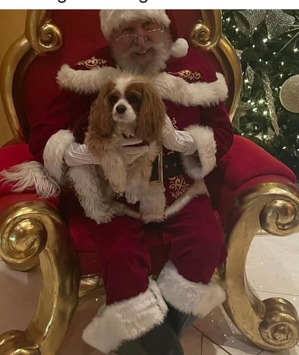 Gallery photo 7 of The 305 Santa