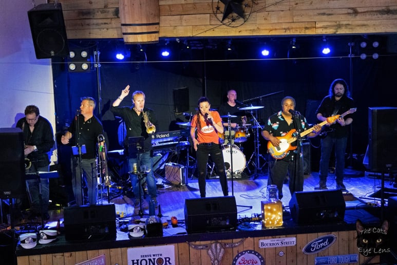 Gallery photo 4 of The 6 Feet Apart Band