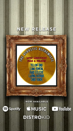 Gallery photo 1 of the Acoustic Alchemists