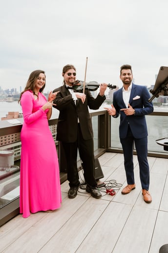Gallery photo 10 of James Violin