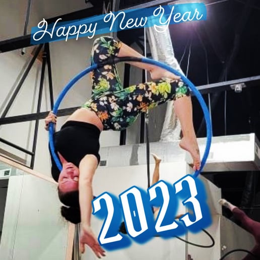 Gallery photo 10 of The aerial hoop also known as the lyra