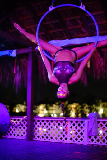 Gallery photo 4 of The aerial hoop also known as the lyra