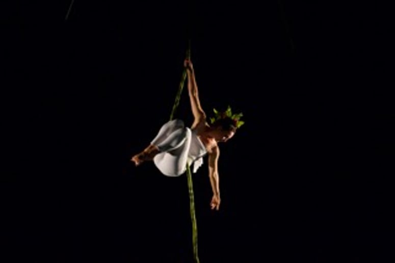 Gallery photo 1 of Sara Vis Aerial