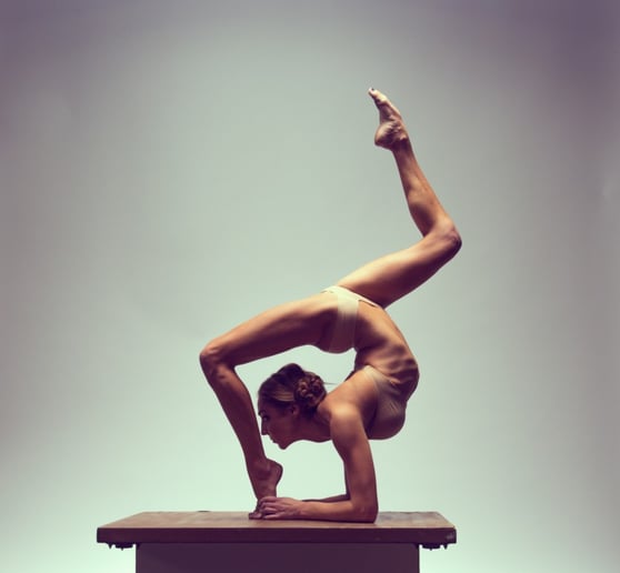 Gallery photo 4 of The Aerial Muse