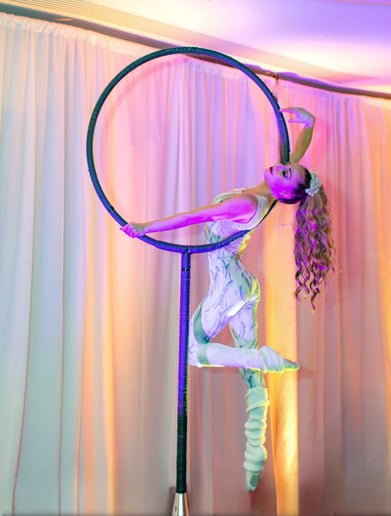 Gallery photo 8 of The Aerial Muse