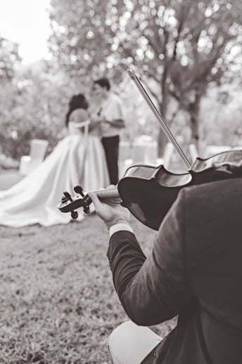 Gallery photo 3 of The affecting violin