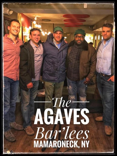 Gallery photo 2 of The Agaves Band