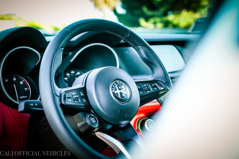 Gallery photo 4 of The Alpha Chauffeur