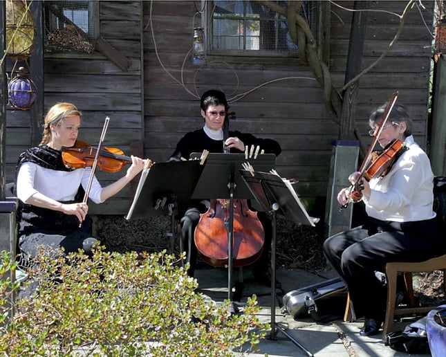 Gallery photo 8 of The Amaryllis Ensemble