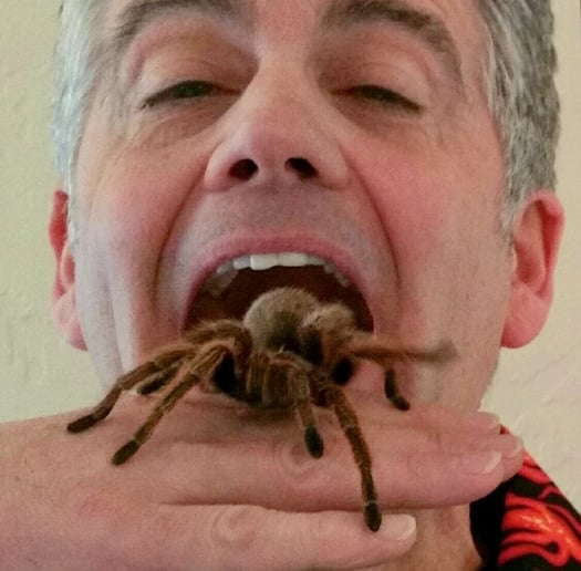 Gallery photo 16 of The Amazing World of Brad Byers