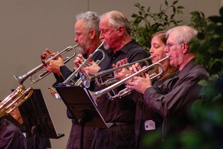 Gallery photo 5 of The Ambassadors