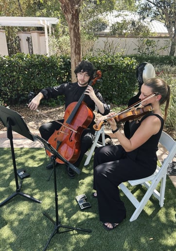 Gallery photo 6 of The Ancroft Quartet