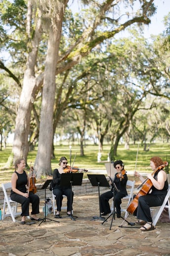 Gallery photo 2 of The Ancroft Quartet
