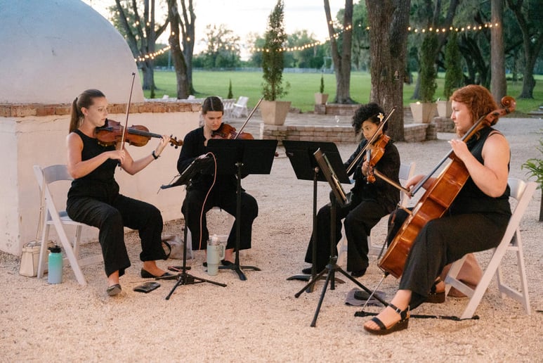 Gallery photo 3 of The Ancroft Quartet