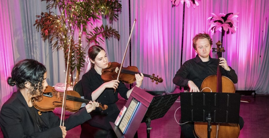 Gallery photo 8 of The Ancroft Quartet
