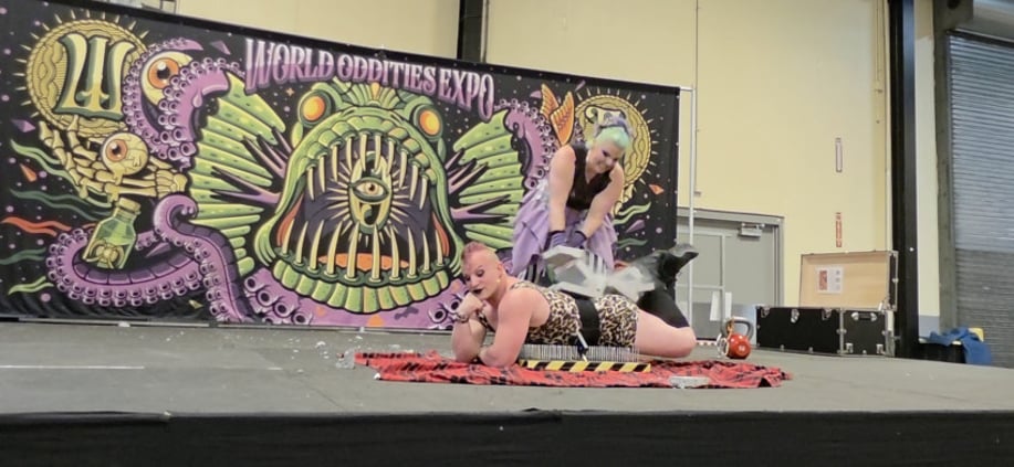 Gallery photo 5 of The Appalachian Circus StrongMx