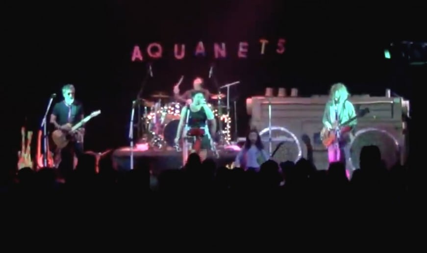 Gallery photo 1 of The Aqua-Nets