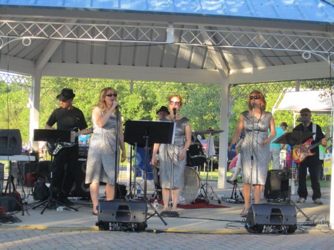 Gallery photo 4 of The BackTrack Band
