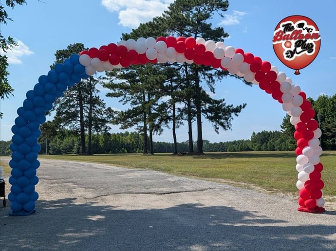 Gallery photo 5 of The Balloon Plug
