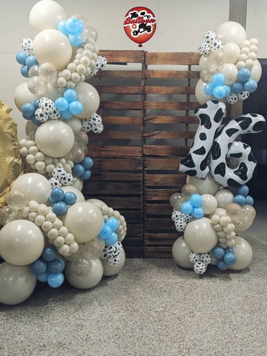 Gallery photo 6 of The Balloon Plug