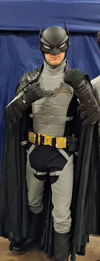 Gallery photo 4 of The Batman of the Valley