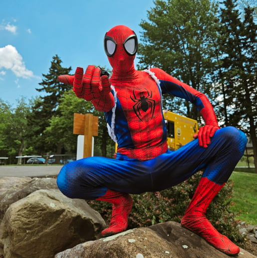 Gallery photo 6 of The Batman of the Valley