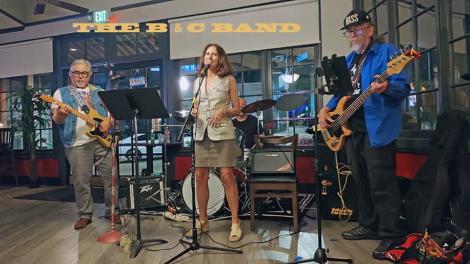 Gallery photo 1 of The B&C Band