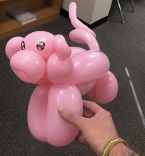 Gallery photo 9 of The Bearded Balloon Twister LLC