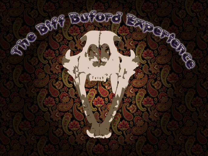 Gallery photo 1 of The Biff Buford Experience