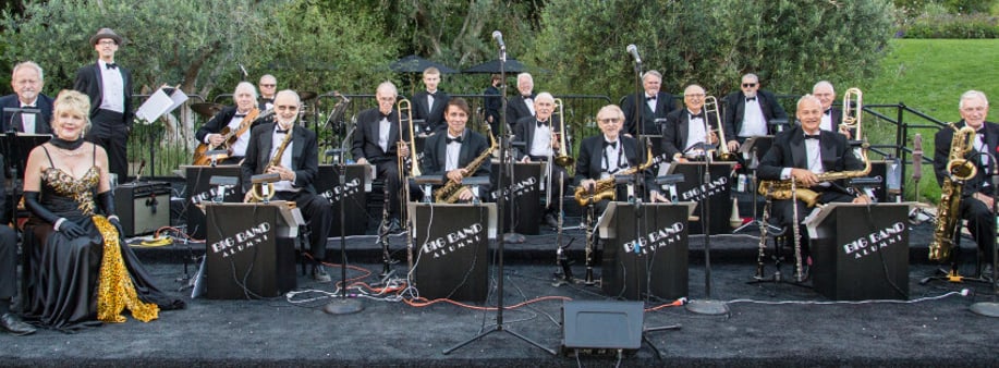 Gallery photo 8 of The Big Band Alumni
