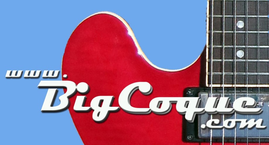 Gallery photo 9 of The Big Coque Band