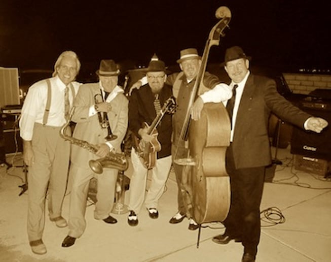 Gallery photo 3 of The Big Fat Steve Band