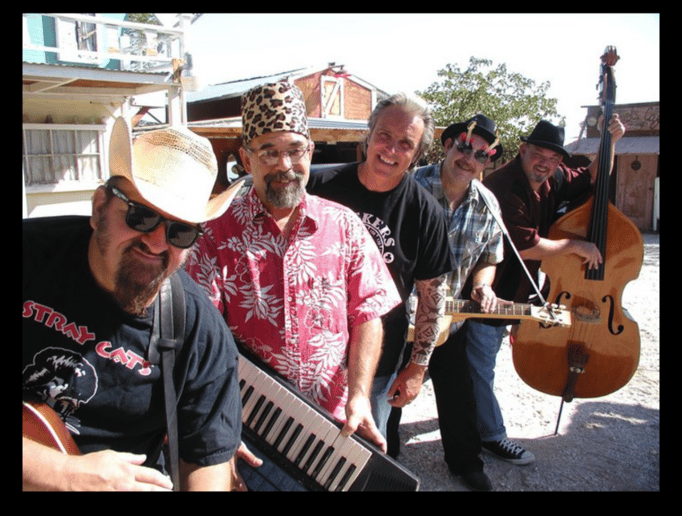 Gallery photo 4 of The Big Fat Steve Band