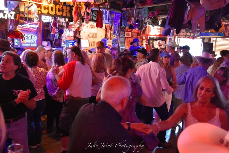 Gallery photo 5 of The Big Fat Steve Band