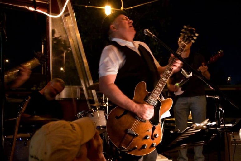 Gallery photo 2 of The Big Tree band