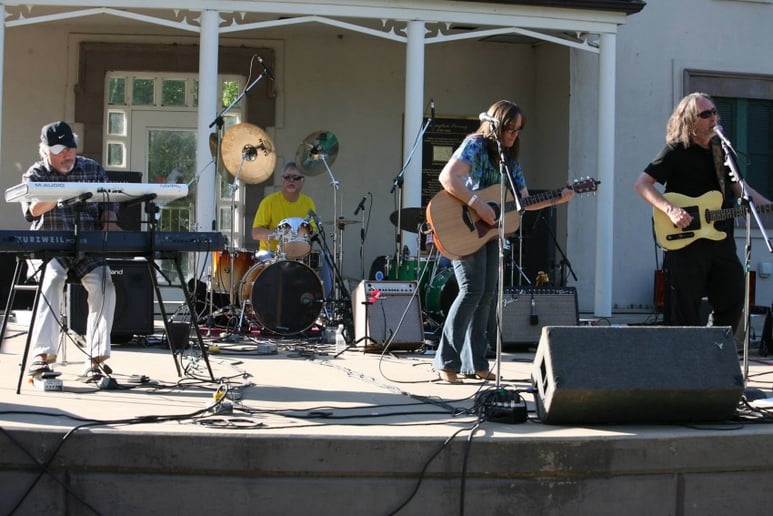 Gallery photo 3 of The Big Tree band