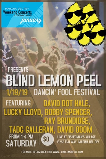 Gallery photo 4 of The Blind Lemon Peel Blues All-Stars