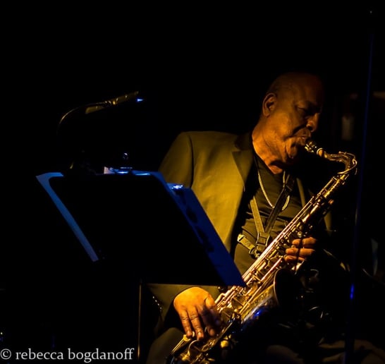 Gallery photo 3 of The Blind Lemon Peel Blues All-Stars