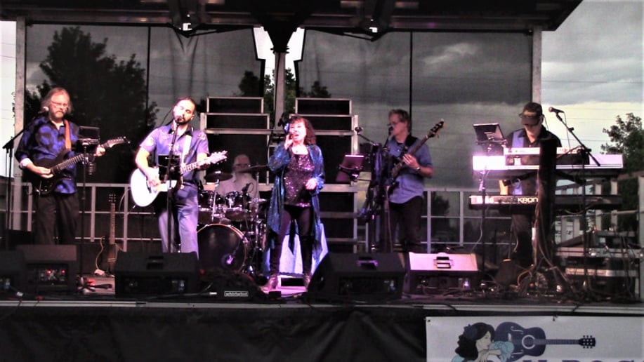 Gallery photo 1 of The Blu Rose Dance Band