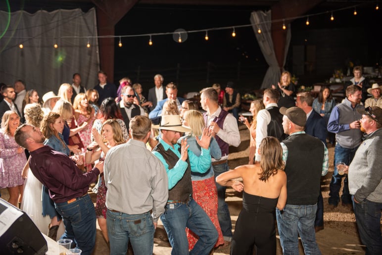 Gallery photo 8 of The Blu Rose Dance Band
