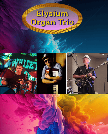 Gallery photo 4 of Elysium Organ Trio