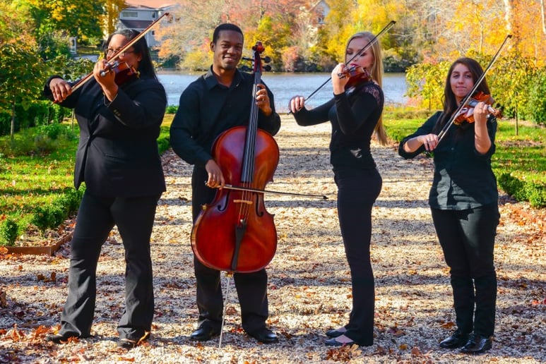 Gallery photo 5 of The Blue Moon Music Company