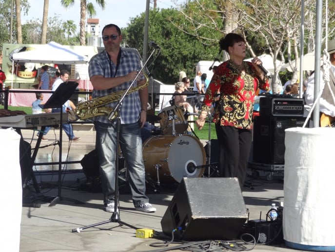 Gallery photo 4 of The Blues Review Band